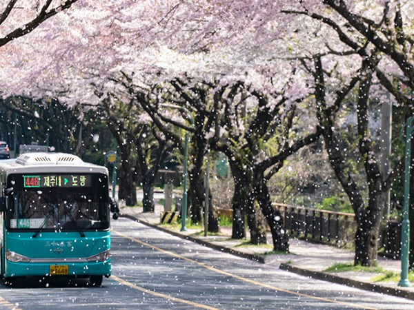 It’s Not a K-Drama Unless…